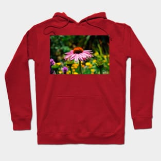 Echinacea Purpurea Hoodie